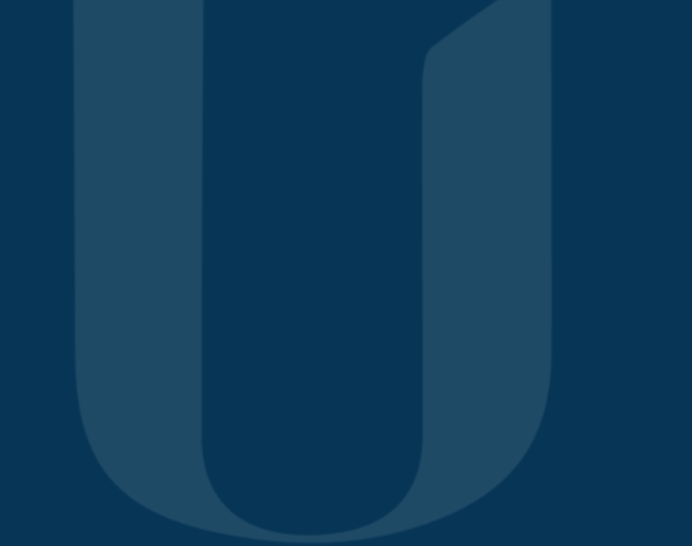 UNION INVESTIMENTOS